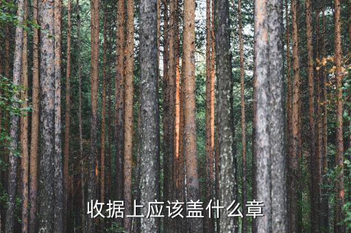 收據(jù)應(yīng)蓋什么章，收據(jù)蓋什么章有規(guī)定嗎
