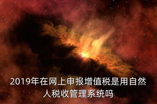 什么是增值稅管理系統(tǒng)，2019年在網(wǎng)上申報增值稅是用自然人稅收管理系統(tǒng)嗎