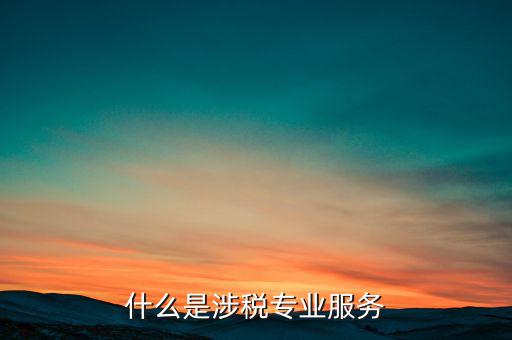 涉稅專業(yè)服務(wù)機構(gòu) 包括什么，什么是涉稅專業(yè)服務(wù)