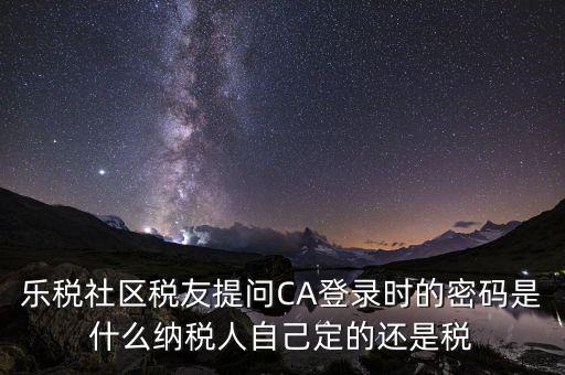 納稅人登路的密碼是什么意思，國稅第一次網(wǎng)上申報(bào)的登陸密碼是什么