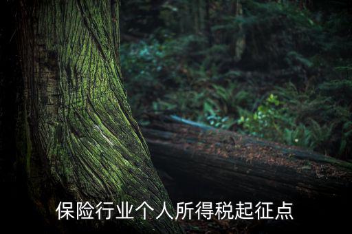 保險(xiǎn)行業(yè)入交什么稅，保險(xiǎn)行業(yè)個(gè)人所得稅起征點(diǎn)