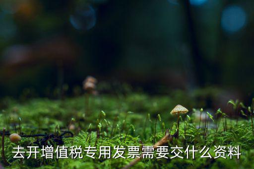 開專票需要對方什么資料，開具增值稅專用發(fā)票需要購買方提交什么資料稅屋