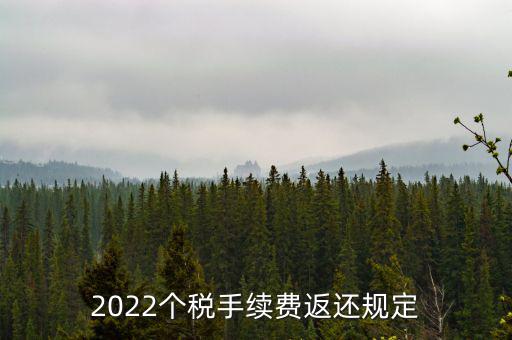 個稅返手續(xù)費什么時間，退個稅手續(xù)費2022年新規(guī)定
