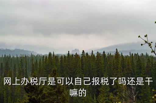 云廳報(bào)稅是什么意思，網(wǎng)上辦稅廳是可以自己報(bào)稅了嗎還是干嘛的