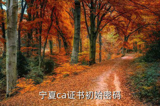 ca的默認(rèn)密碼是什么意思，ca口令是什么