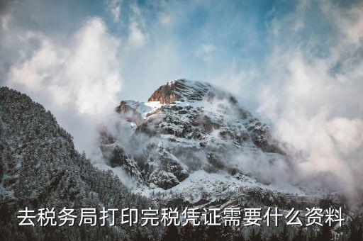 公司開完稅證明需要什么資料，請問去開戶銀行打印完稅證明要什么資料嗎