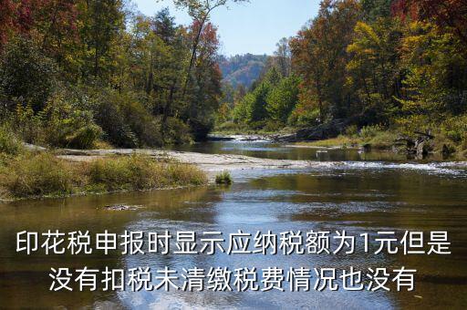 印花稅是1的時(shí)候?yàn)槭裁床豢劭睿』ǘ惿陥?bào)時(shí)顯示應(yīng)納稅額為1元但是沒有扣稅未清繳稅費(fèi)情況也沒有