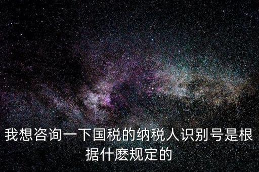 臨時(shí)納稅人代碼是什么，我想咨詢一下國稅的納稅人識別號是根據(jù)什麼規(guī)定的