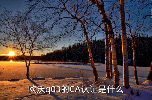 ca認證密碼是什么情況，歐沃q03的CA認證是什么
