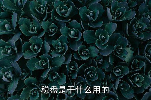 為什么要買金稅盤，稅控盤是一定要買的嗎