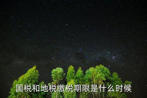 國(guó)稅和地稅繳稅期限是什么時(shí)候