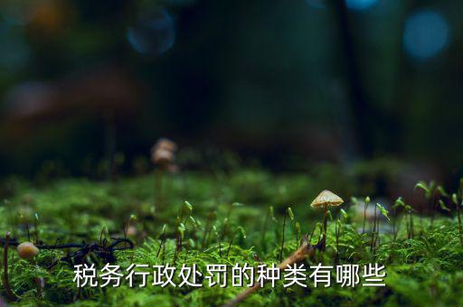 涉稅行政處罰包括什么，什么叫稅務(wù)行政處罰當事人