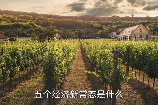 五個經(jīng)濟(jì)新常態(tài)是什么
