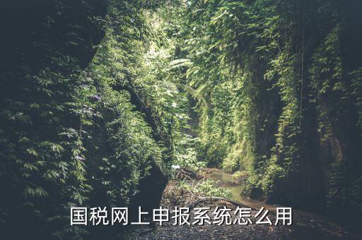 國(guó)稅網(wǎng)上申報(bào)系統(tǒng)怎么用