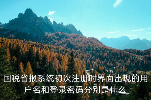 河南省國稅申報系統(tǒng)帳號是什么，請問國稅申報用戶號是什么密碼又是什么