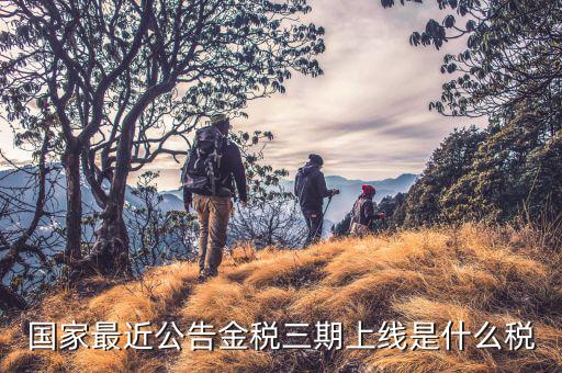 金稅三期從什么上線，國(guó)家最近公告金稅三期上線是什么稅