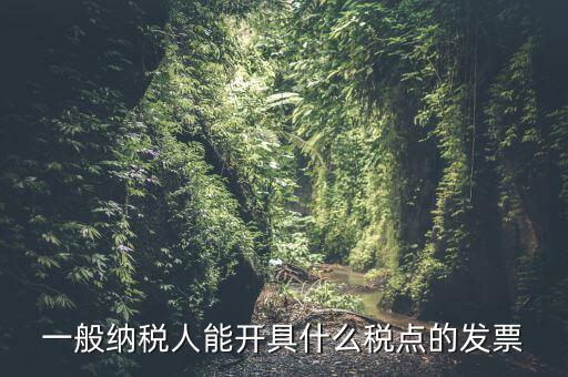 一般納稅人領(lǐng)什么發(fā)票，一般納稅人企業(yè)能開(kāi)具和使用什么類型的發(fā)票