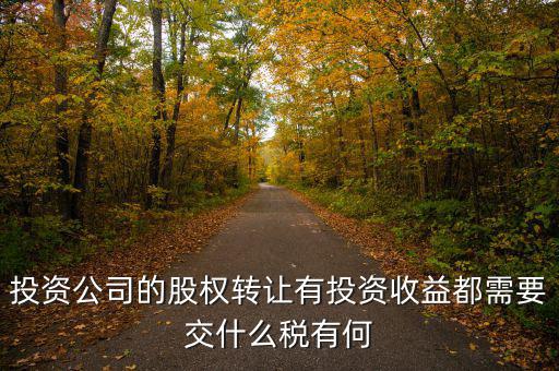 投資公司要交什么稅，投資集團(tuán)公司如何繳稅