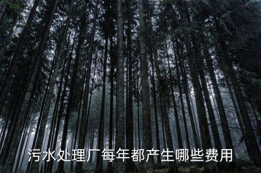 污水處理廠要交什么稅，污水處理廠屬于什么納稅行業(yè)