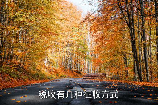 稅務征非稅采取什么方式，稅務征收有哪幾種