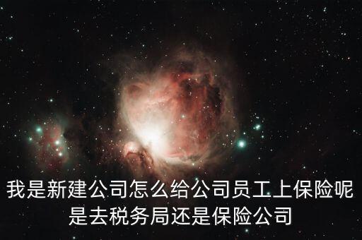 稅務(wù)局保險是什么，稅務(wù)局讓企業(yè)交得規(guī)費和參保費是什么
