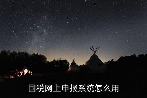 國稅網上申報系統(tǒng)怎么用
