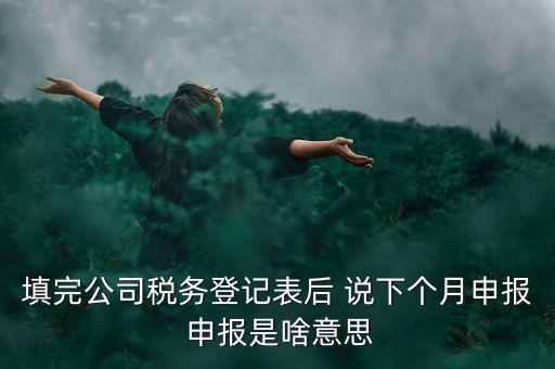 納稅登記表是什么意思，填完公司稅務(wù)登記表后 說(shuō)下個(gè)月申報(bào) 申報(bào)是啥意思