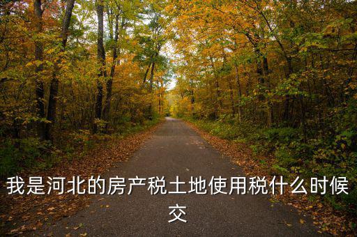 河北地稅申報(bào)后什么時(shí)候繳費(fèi)，我是河北的房產(chǎn)稅土地使用稅什么時(shí)候交