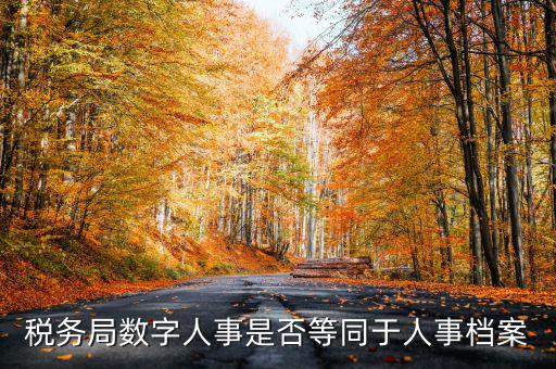 數(shù)字人事國稅是什么，數(shù)字人事第一段怎么劃分