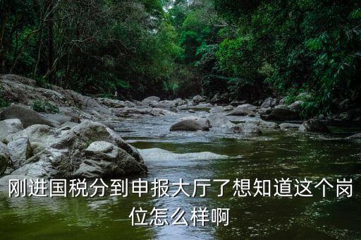 國稅局新進人員一般分到什么崗位，國稅局 工作人員需要哪些專業(yè)職稱
