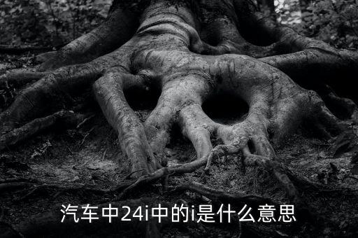 小車船i代表什么意思，汽車中24i中的i是什么意思