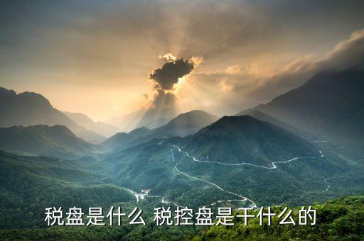 億企贏稅盤是什么，稅盤是什么 稅控盤是干什么的