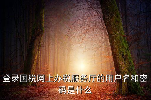 國稅默認賬號是什么意思，你好我想問你 一下 網(wǎng)上國稅的用戶名和密碼是什么