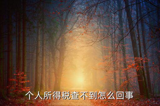 個(gè)人所得稅扣減為什么查不到，個(gè)人所得稅為什么不能在網(wǎng)上查找