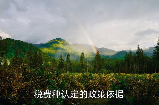 什么是稅費種認定信息查詢，稅費種認定信息在哪里查看