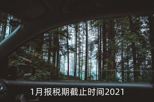 1月份地稅什么時(shí)候申報(bào)，報(bào)稅一般都是每個(gè)月什么時(shí)候報(bào)稅