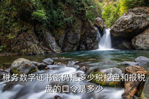 國(guó)稅開(kāi)票軟件的稅務(wù)證書(shū)密碼是什么，稅務(wù)數(shù)字證書(shū)密碼是多少稅控盤(pán)和報(bào)稅盤(pán)的口令是多少