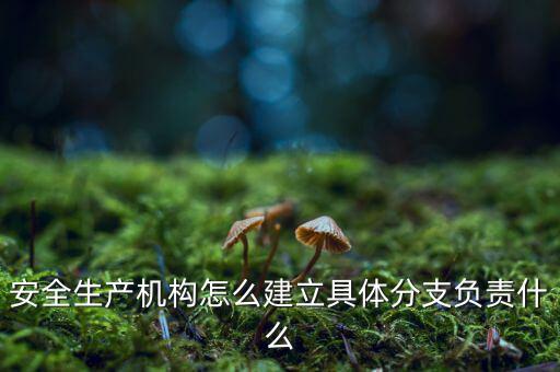 什么是三級分支機(jī)構(gòu)，英語三級發(fā)證機(jī)構(gòu)是什么
