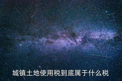 城鎮(zhèn)土地使用稅屬于什么稅種，城鎮(zhèn)土地使用稅到底屬于什么稅