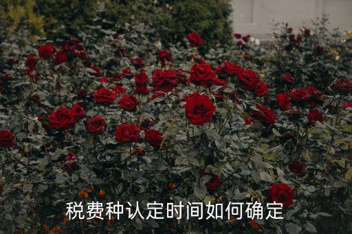 稅種認(rèn)定后什么時間申報(bào)，稅務(wù)局變更稅費(fèi)種認(rèn)定變更后多久可以可以報(bào)稅