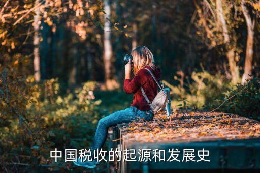 稅收產(chǎn)生于什么社會，稅收的起源