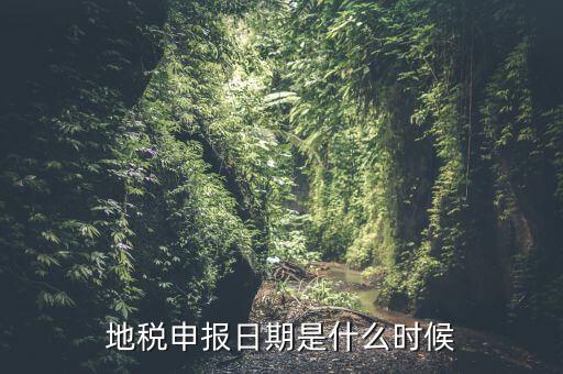 地稅清稅報告時間是什么原因，每月稅務申報時間什么時候