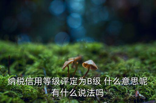 國稅b級信用是什么意思，納稅信用等級評定為B級 什么意思呢有什么說法嗎