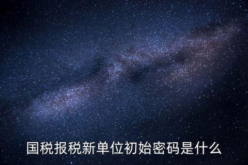 國(guó)稅報(bào)稅新單位初始密碼是什么