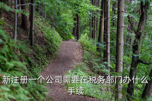 新辦企業(yè)需要到地稅辦理什么手續(xù)費，新注冊一個公司需要在稅務(wù)部門辦什么手續(xù)