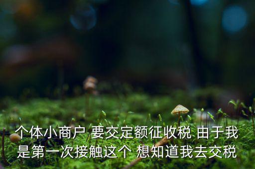 定額納稅到什么地方繳，定額征收的個(gè)體需繳納什么地稅