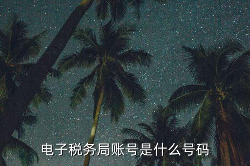 電子稅務(wù)登錄賬號是什么，電子稅務(wù)局賬號是什么號碼