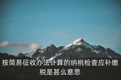 簡(jiǎn)易征收什么意思，按簡(jiǎn)易征收辦法計(jì)算的納稅檢查應(yīng)補(bǔ)繳稅是甚么意思