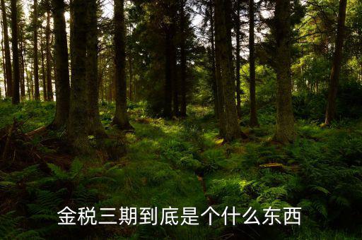 金三上線是什么意思，什么是稅務(wù)金山系統(tǒng)