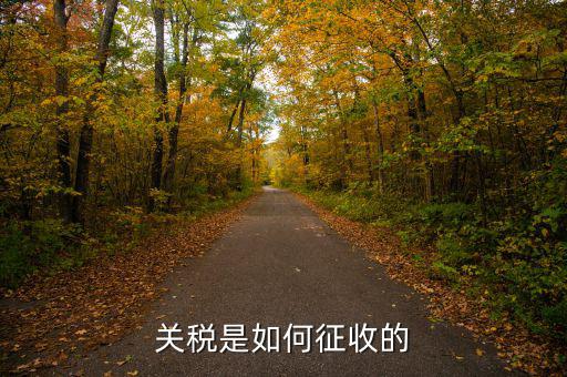 依據(jù)什么征收關(guān)稅，關(guān)稅是如何征收的